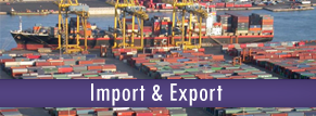 Import & Export